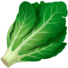 vegitable